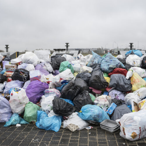 Island Gardens Rubbish Removal