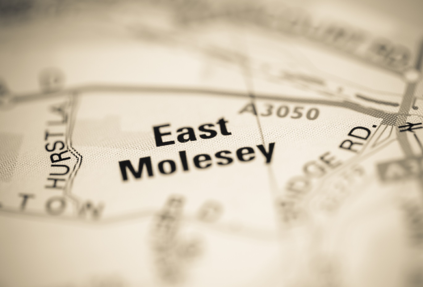 East Molesey Rubbish Collection Services