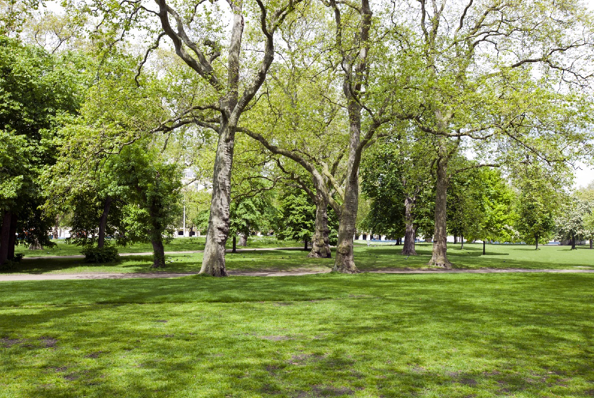 Green Park Rubbish Collection Services