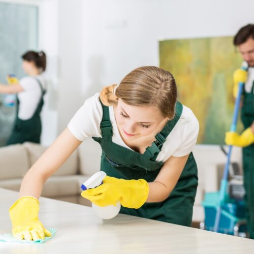 Reigate & Banstead Cleaning Services