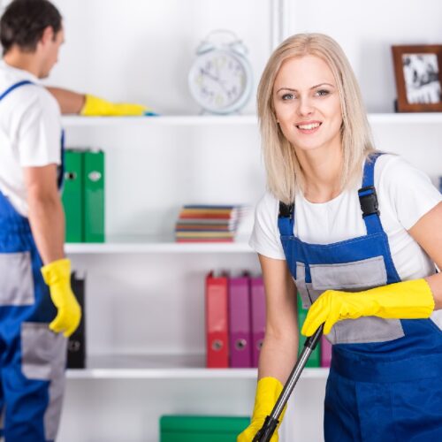 Oxted Cleaning Services