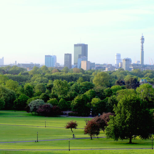 Regent’s Park Cleaning Services