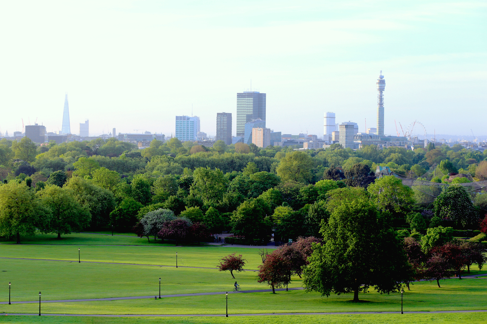 Regent’s Park Cleaning Services