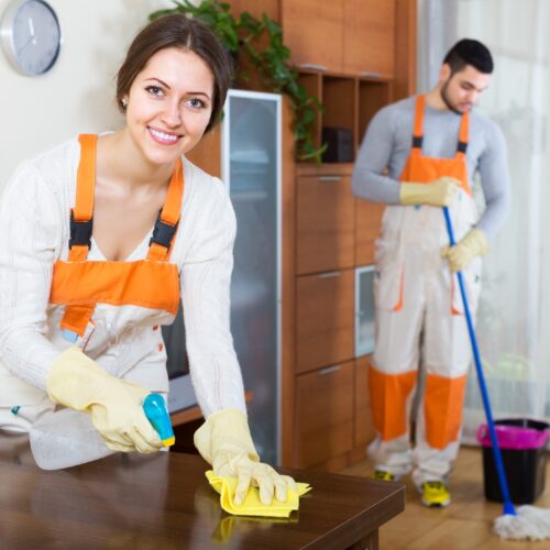Thames Ditton Cleaning Services