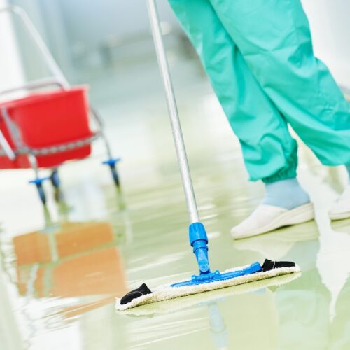 Walton-on-Thames Cleaning Services