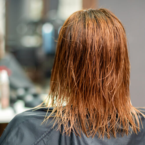 Conditioner for coloured hair is the basis in hair care after colouring