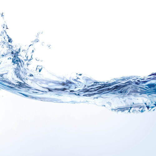 Water – The drink of the Gods? Why is it worth to drink it?