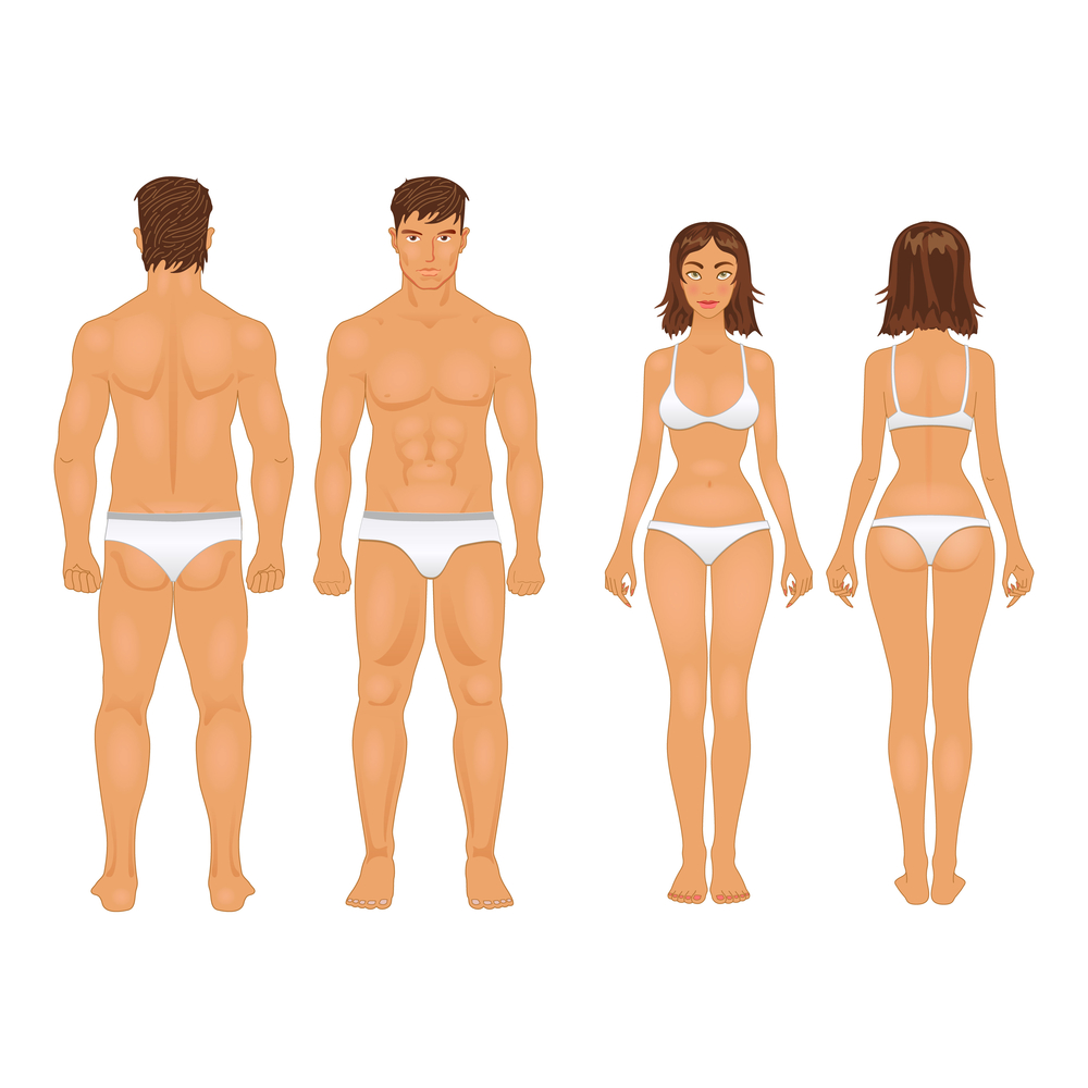 картинки тело мужчин и женщин